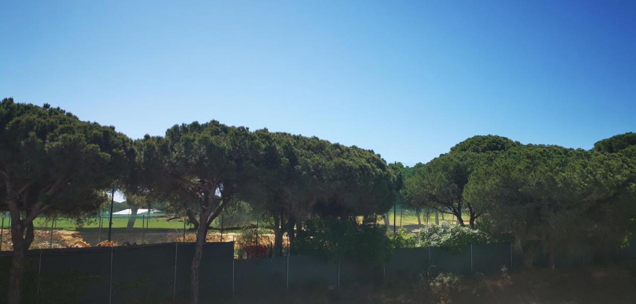 Mira Parque Bed & Breakfast Albufeira Eksteriør bilde
