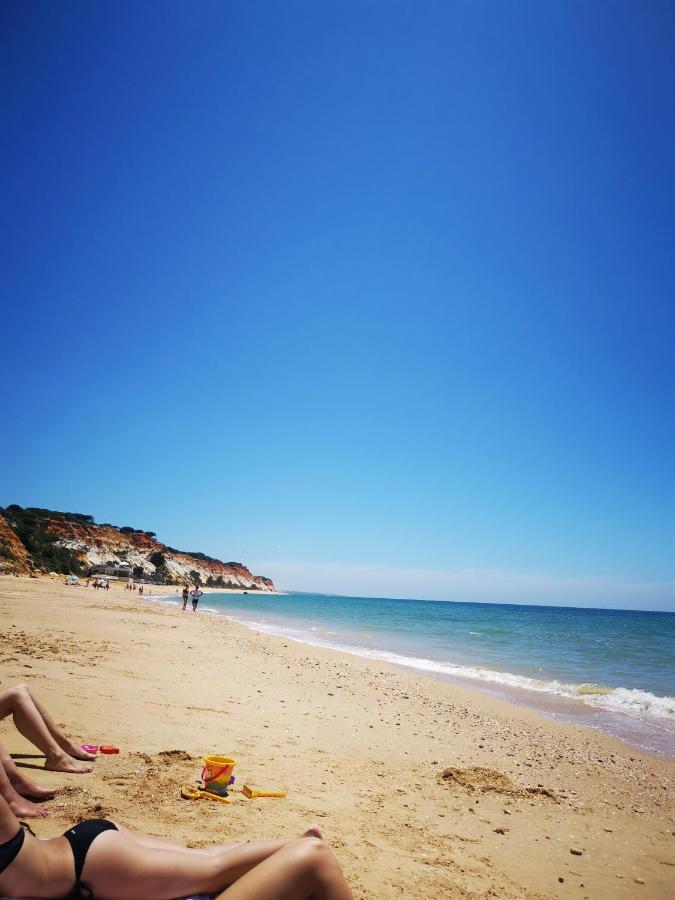 Mira Parque Bed & Breakfast Albufeira Eksteriør bilde