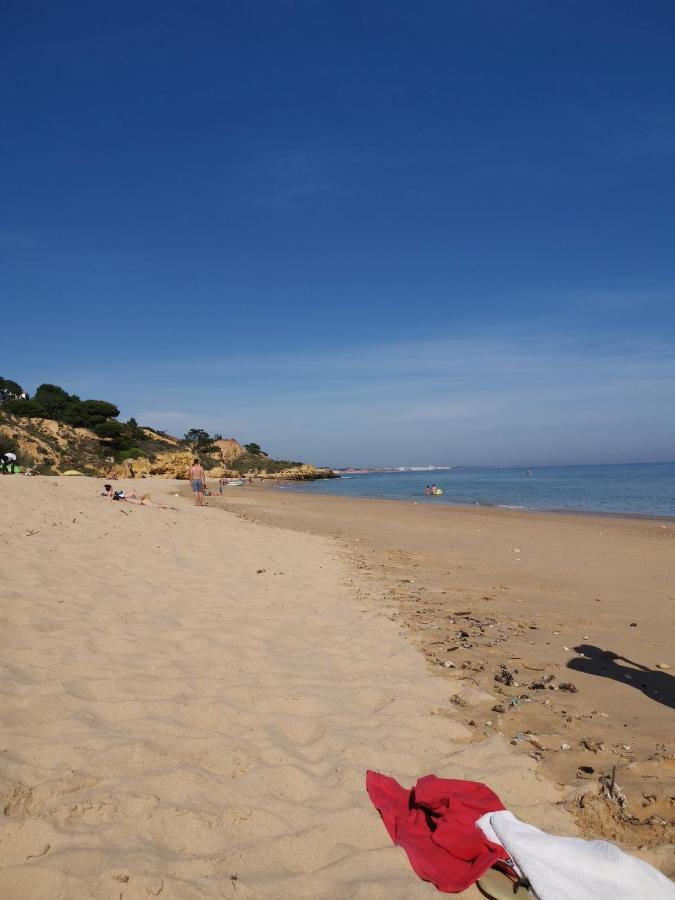Mira Parque Bed & Breakfast Albufeira Eksteriør bilde